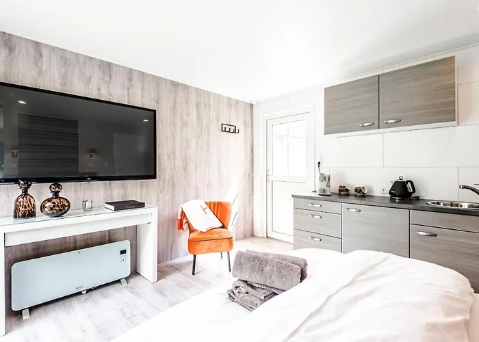 Pit-stop * Zandvoort